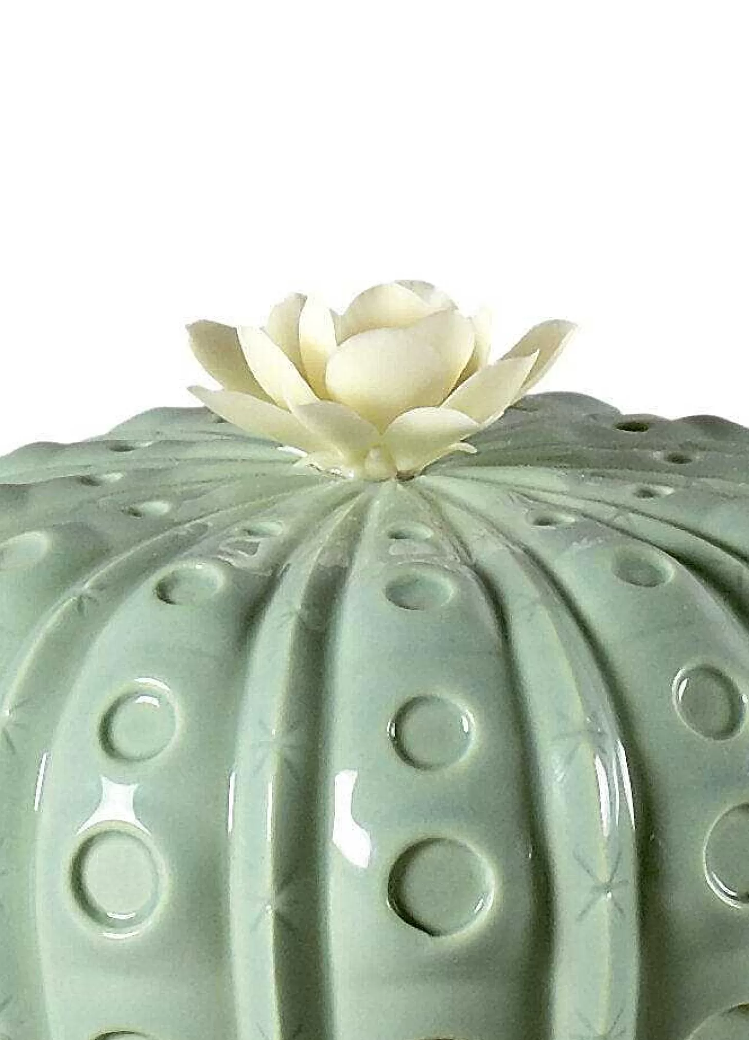 Lladró Astrophytum Cactus Diffuser. Gardens Of Valencia Scent^ Light & Scent