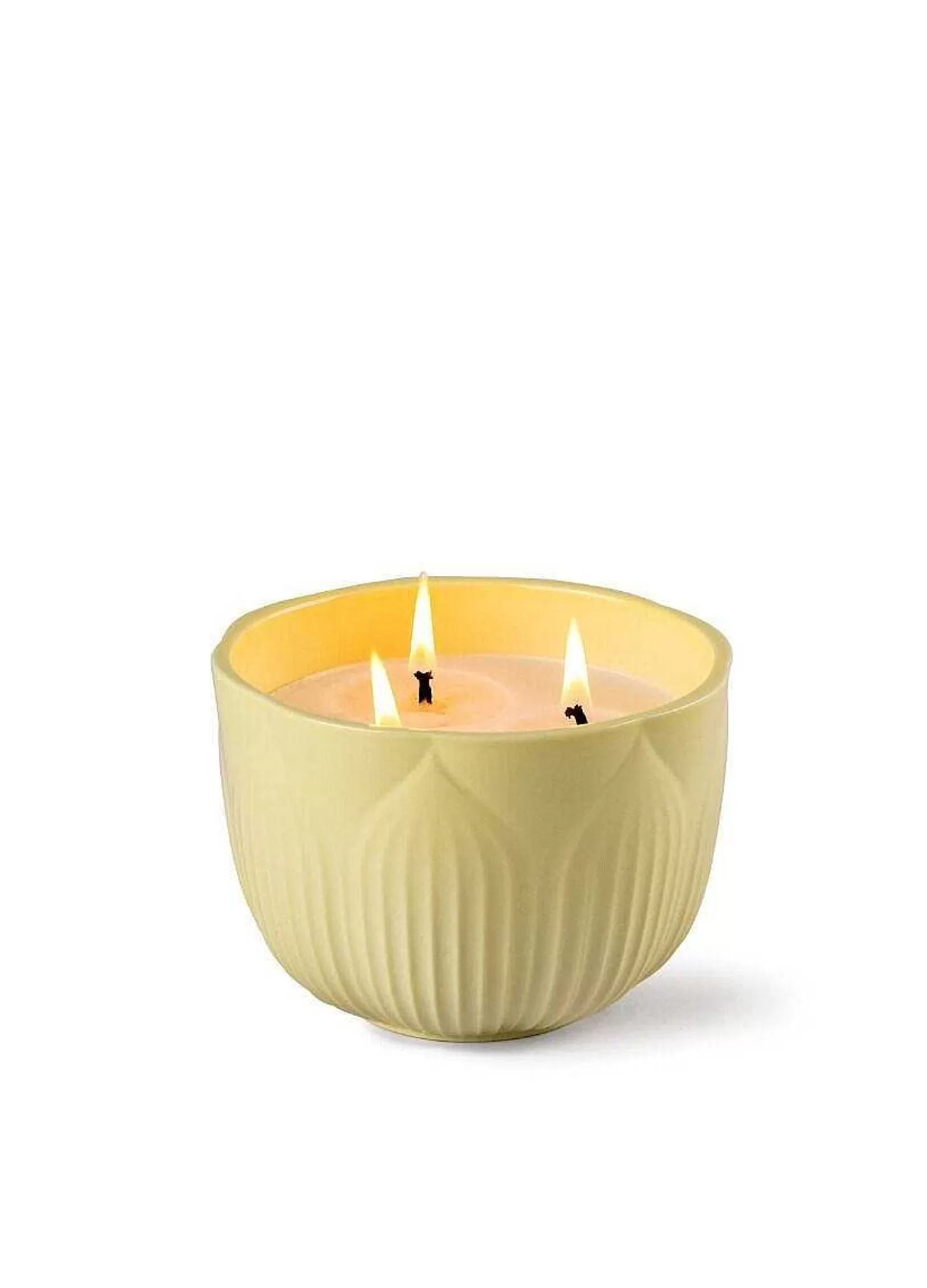 Lladró Fleurs Candle. Gardens Of Valencia Scent^ Light & Scent