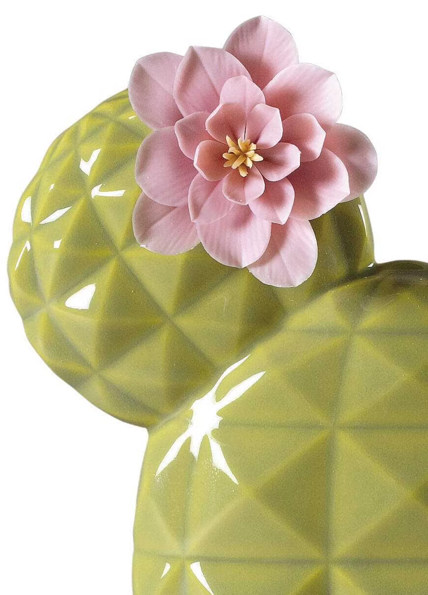 Lladró Opuntia Cactus Diffuser. Gardens Of Valencia Scent^ Light & Scent