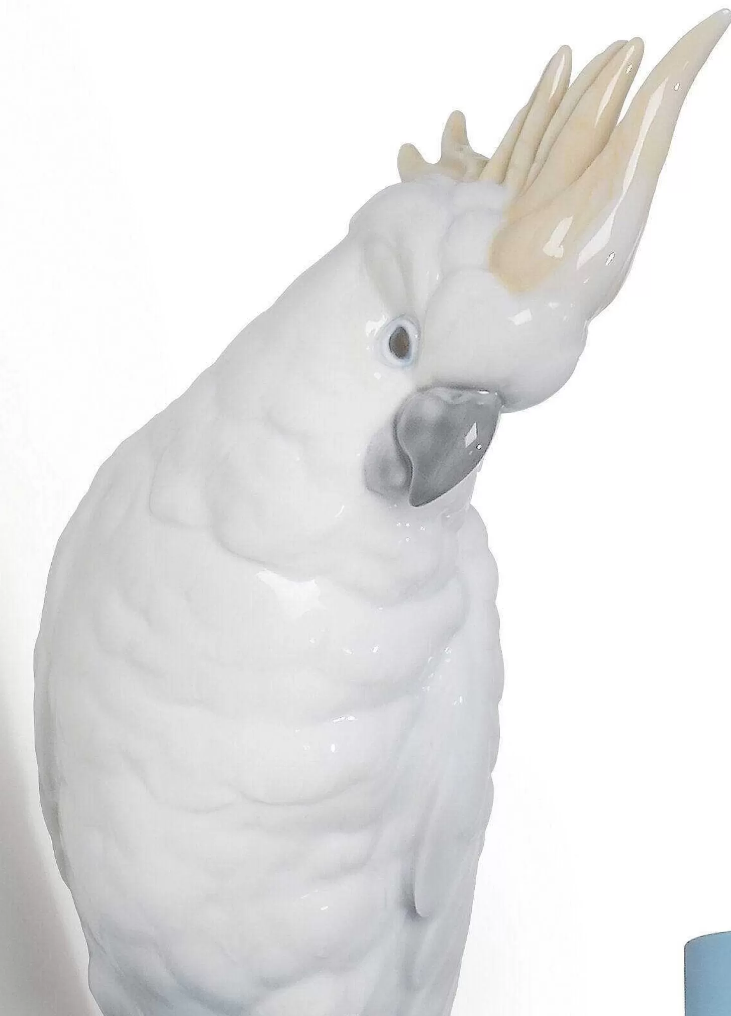 Lladró Parrot Hang I Hanger^ Mexican Culture