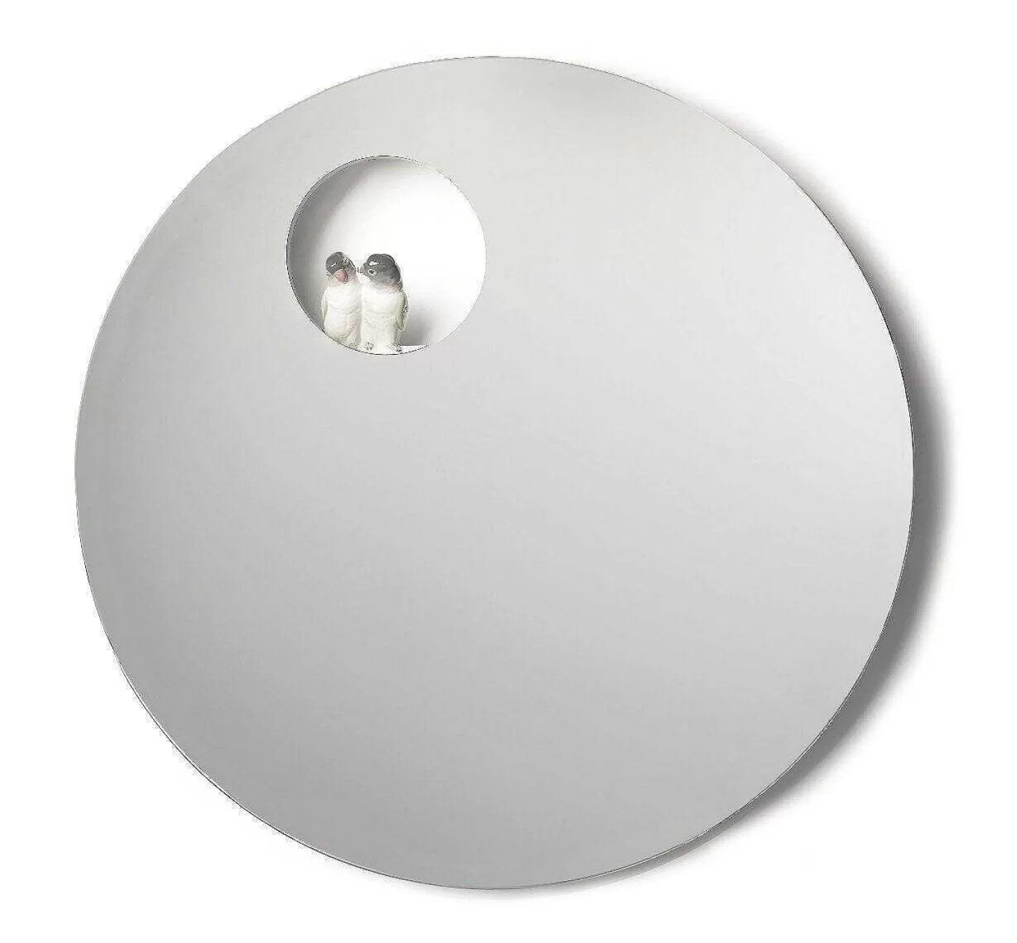 Lladró Parrot Shine I Wall Mirror^ Mirrors