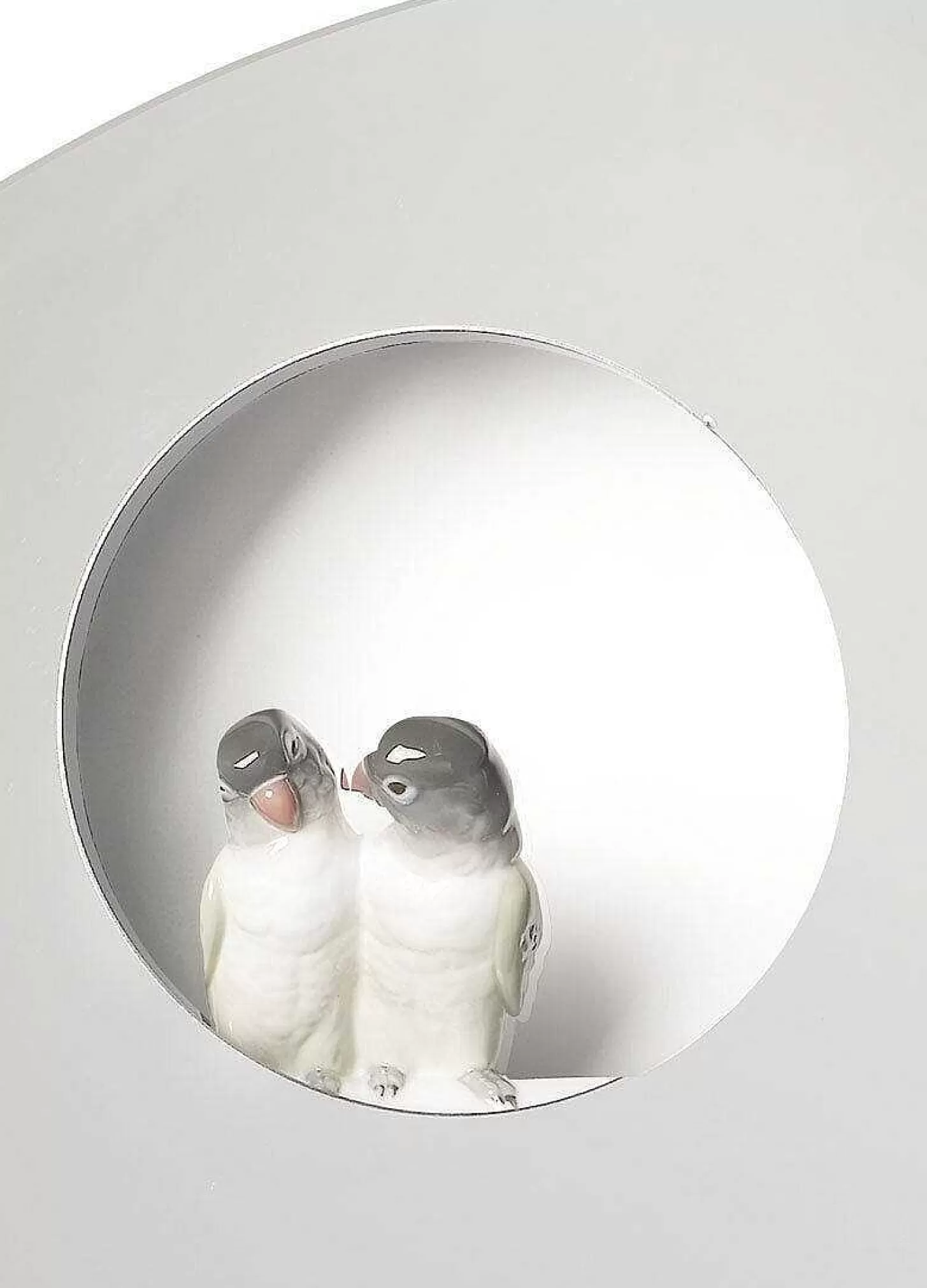 Lladró Parrot Shine I Wall Mirror^ Mirrors