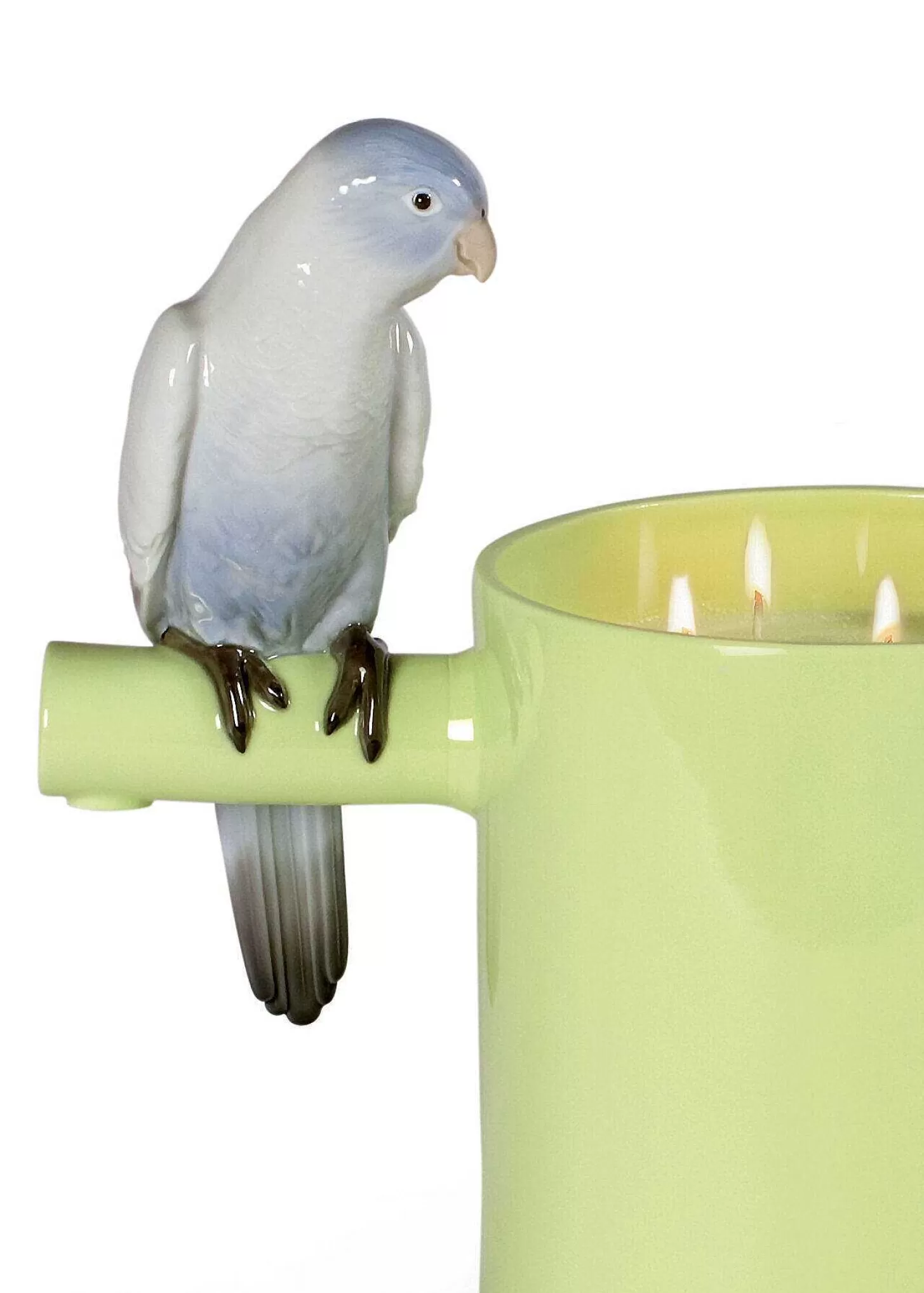 Lladró Parrot'S Scented Treasure. On The Prairie Scent. Green^ Gifts